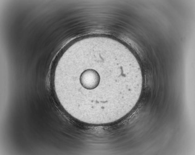 X0000093620828200710221544