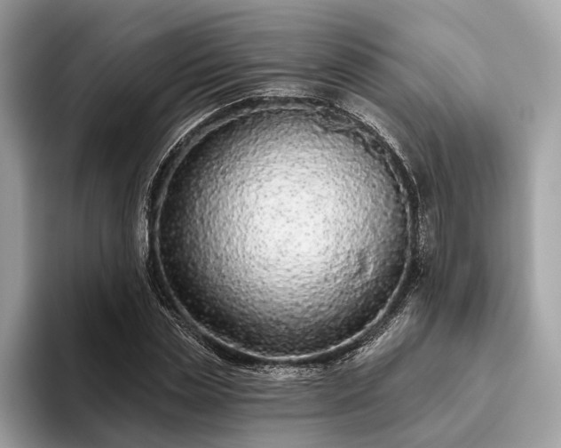 X0000093620829200710221544