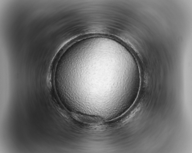 X0000093620830200710221544
