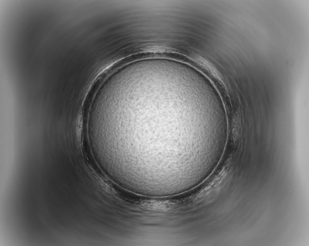 X0000093620831200710221544