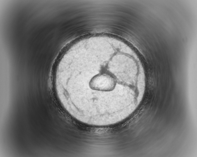 X0000093620832200710221544