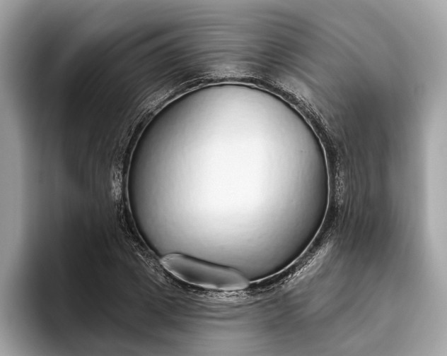 X0000093620833200710221544