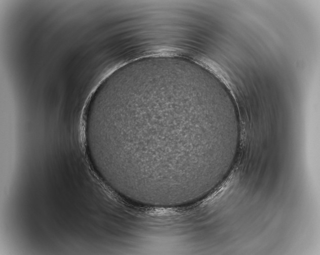 X0000093620835200710221544