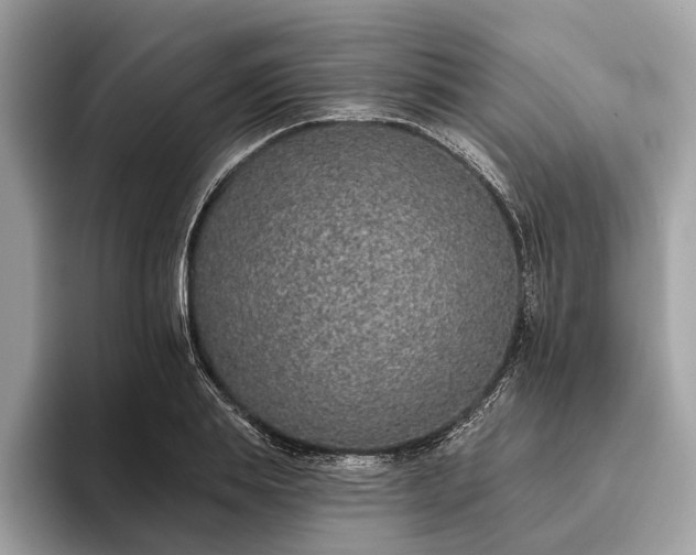 X0000093620839200710221544