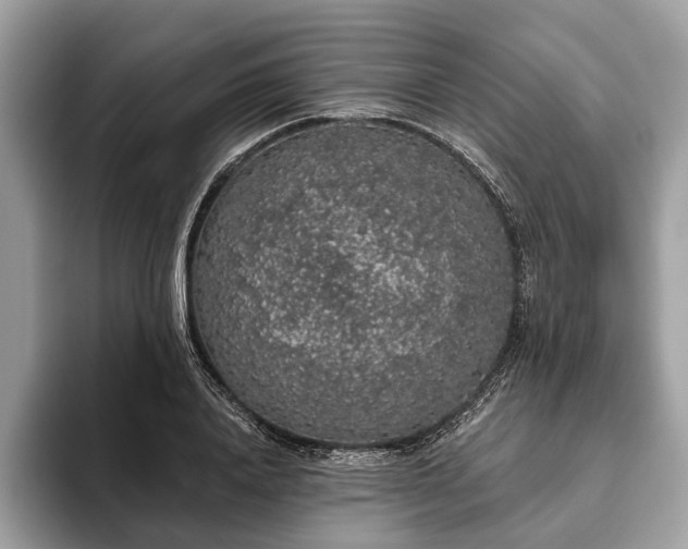 X0000093620840200710221544