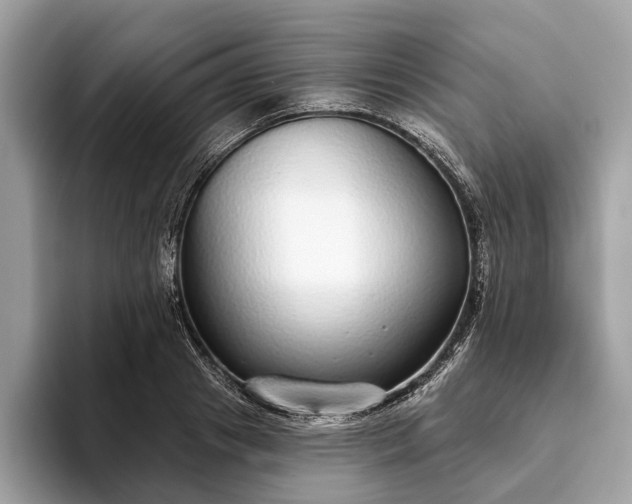 X0000093620841200710221544