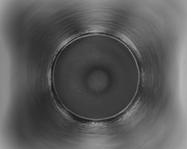X0000093620842200710221544