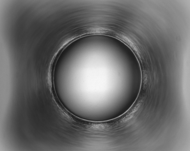 X0000093620843200710221544