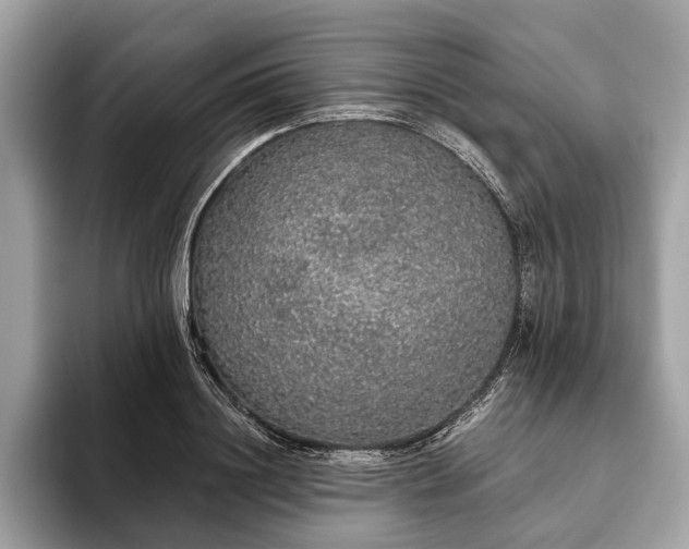 X0000093620844200710221544