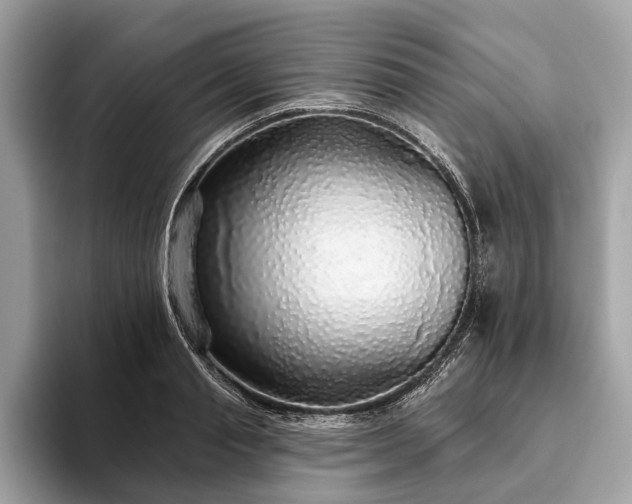 X0000093620845200710221544