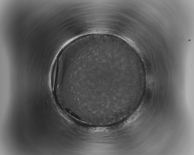 X0000093620846200710221544