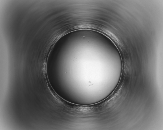 X0000093620849200710221545
