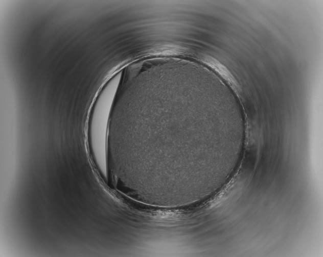 X0000093620850200710221545