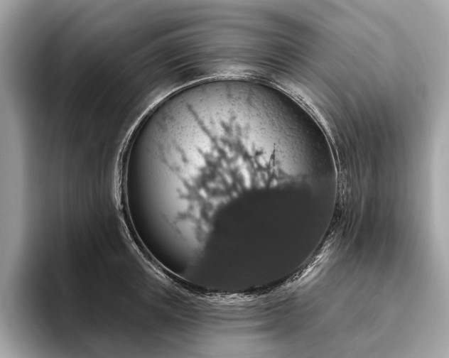 X0000093620851200710221545