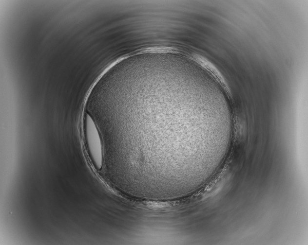 X0000093620852200710221545