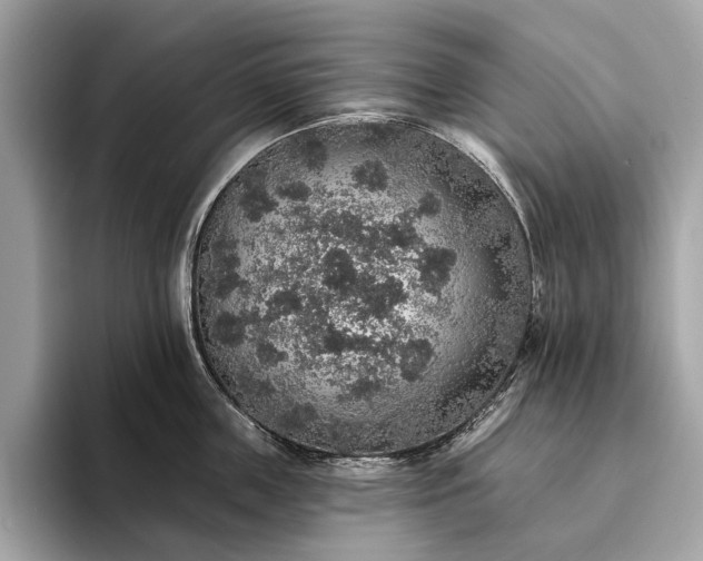 X0000093620859200710221545