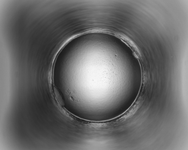 X0000093620860200710221545