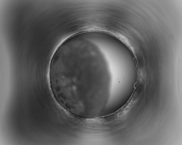 X0000093620863200710221545
