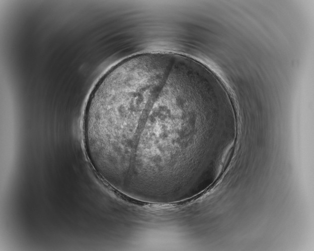 X0000093620864200710221545