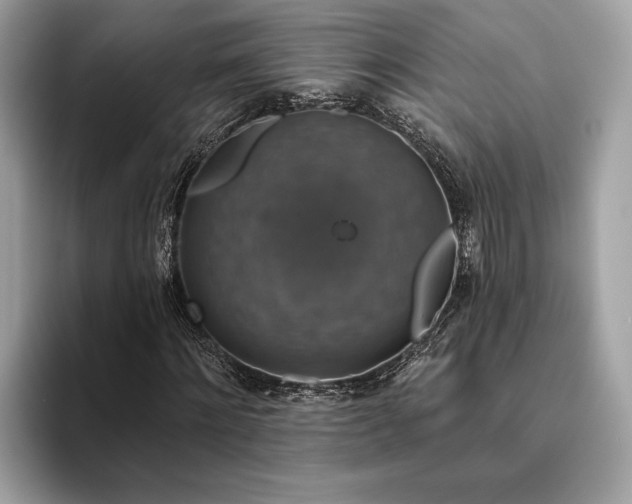 X0000093620868200710221544