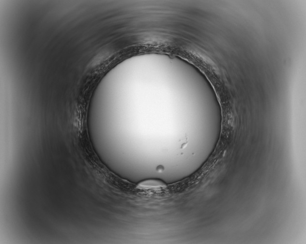 X0000093620869200710221544