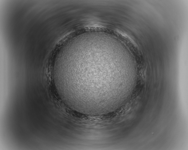 X0000093620870200710221544