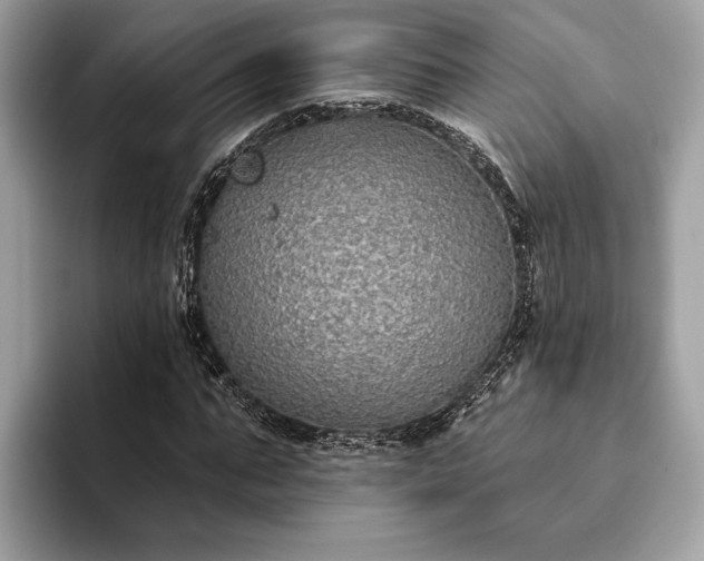 X0000093620871200710221544