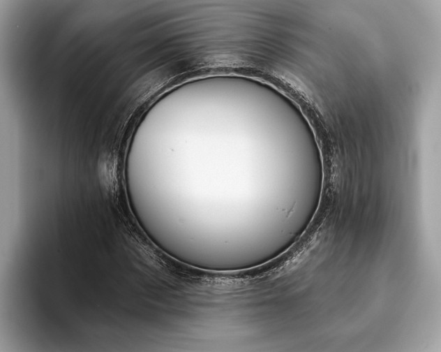 X0000093620873200710221544