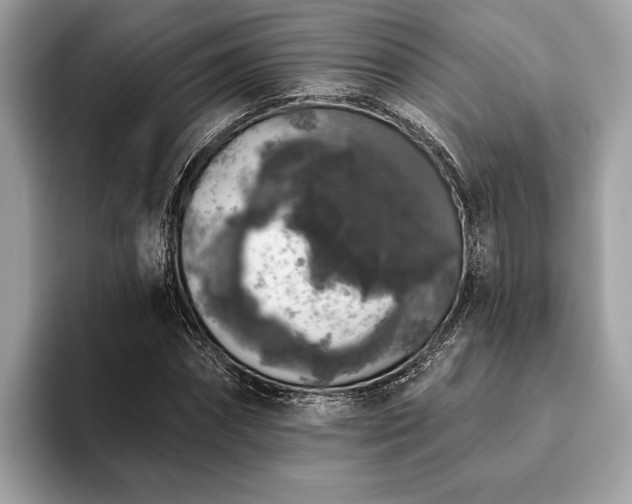 X0000093620874200710221544