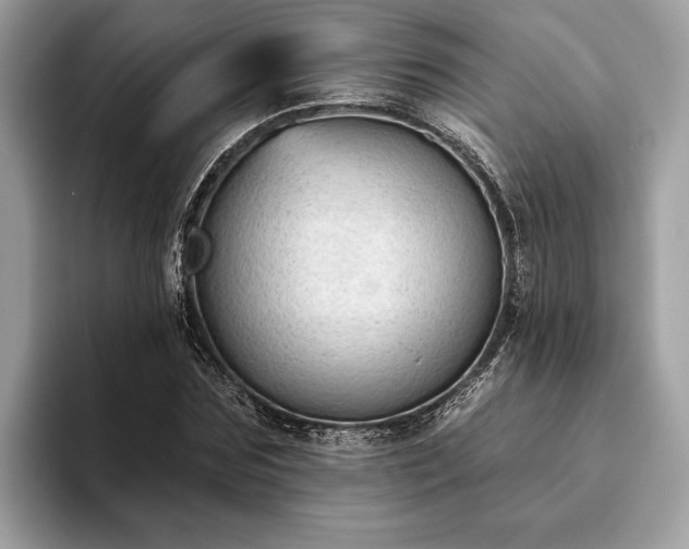 X0000093620875200710221544