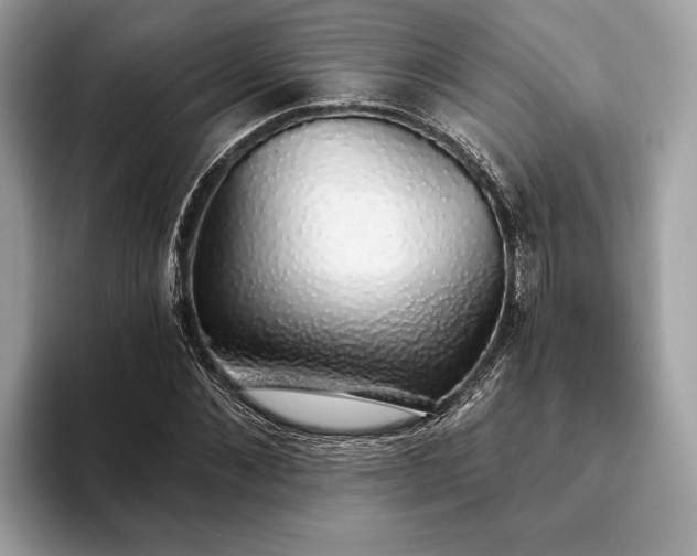 X0000093620876200710221544