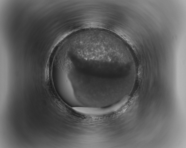X0000093620877200710221544
