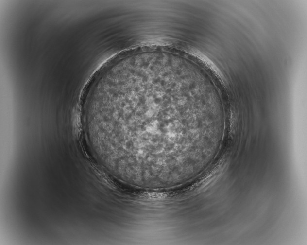 X0000093620878200710221544