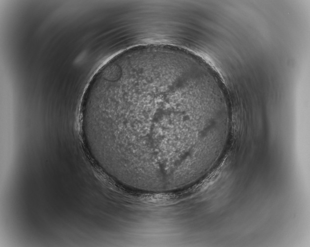 X0000093620879200710221544