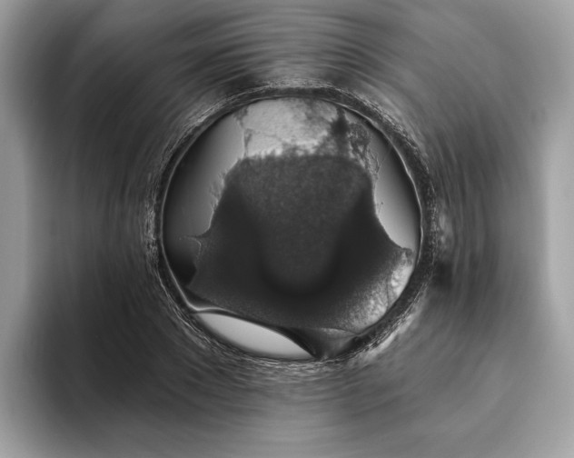 X0000093620881200710221544