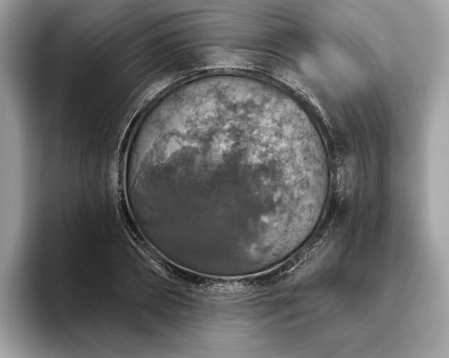 X0000093620882200710221544