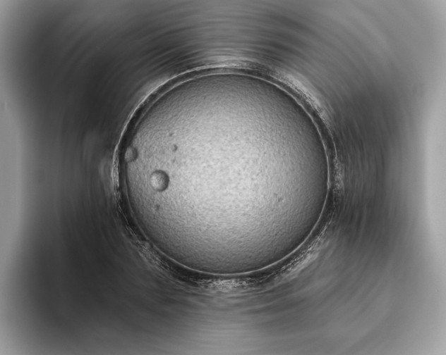 X0000093620883200710221544