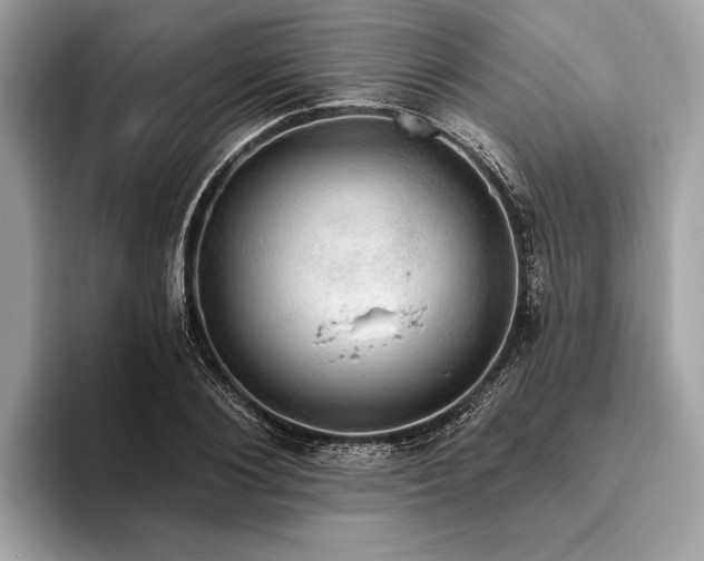 X0000093620884200710221544