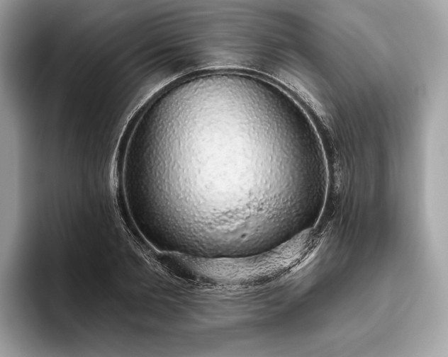 X0000093620885200710221544