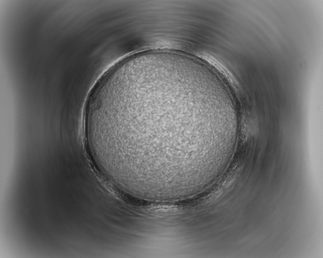 X0000093620886200710221544