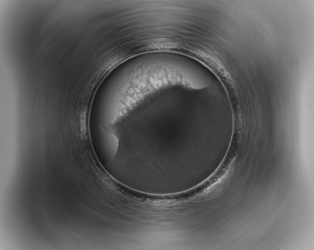 X0000093620889200710221544