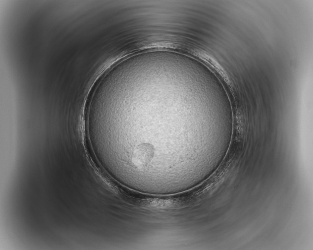 X0000093620890200710221544