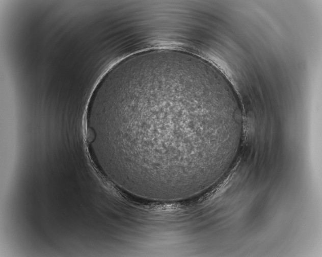 X0000093620891200710221544