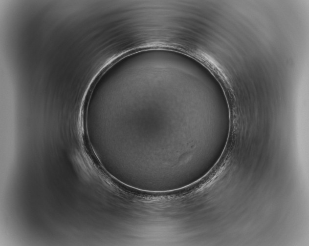 X0000093620892200710221544