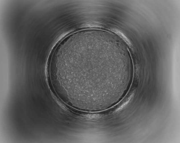 X0000093620893200710221544