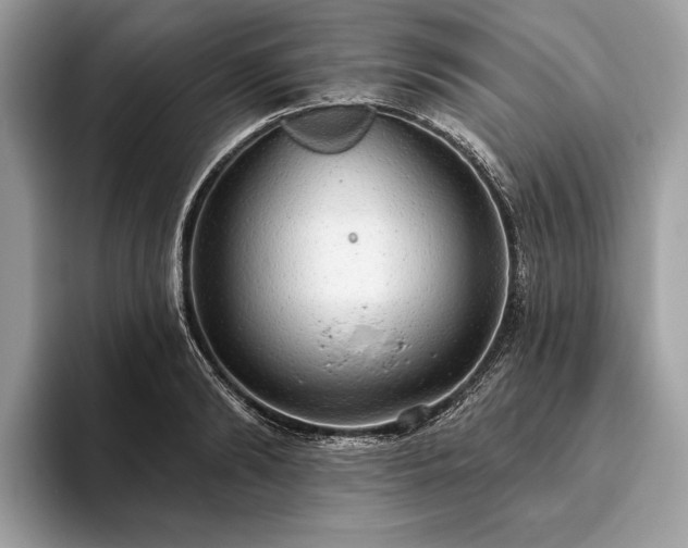 X0000093620894200710221544