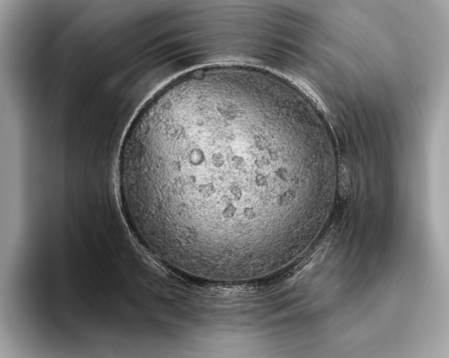 X0000093620895200710221544