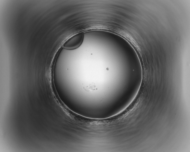 X0000093620898200710221544