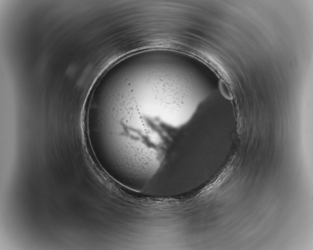 X0000093620899200710221544