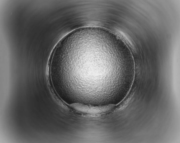 X0000093620900200710221544